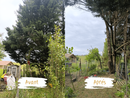 avantaprès